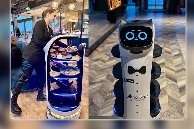 Roboty z Gdańska robią furorę wśród klientów restauracji. Kelnerzy na początku się ich bali [ZDJĘCIA]