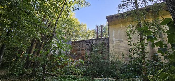 Monumentalna śluza Leśniewo z symbolami III Rzeszy ukryta w mazurskim lesie. Jest owiana tajemnicą [ZDJĘCIA]