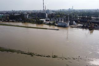Wrocław - Odra wysoki poziom wody przy porcie miejskim (czwartek, 19.09)