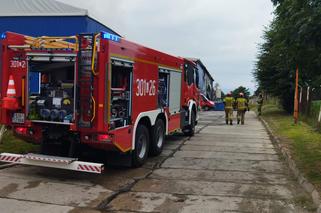 Potężny pożar niedaleko Lublina. Straty oszacowano na 12 mln zł