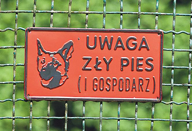 Rajskie życie oprawcy
