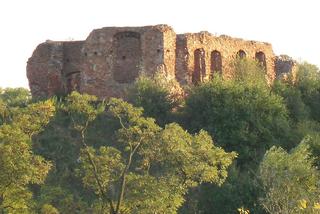 Ruiny zamku książąt mazowieckich w Sochaczewie