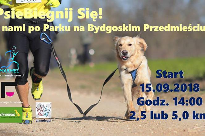 PsieBiegnij Się - sport i pomoc zwierzakom ze schroniska w Toruniu