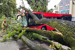 Strażacy w Śląskiem walczą ze skutkami burz. W Żywcu drzewo przewróciło się na autobus