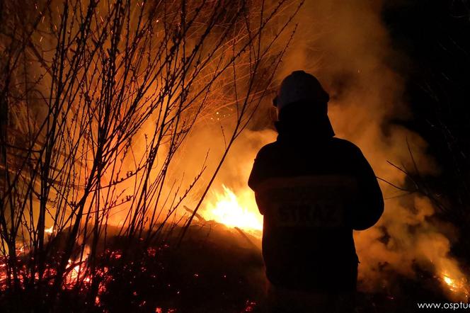Pożary traw są wiosenną zmorą strażaków w regionie tarnowskim