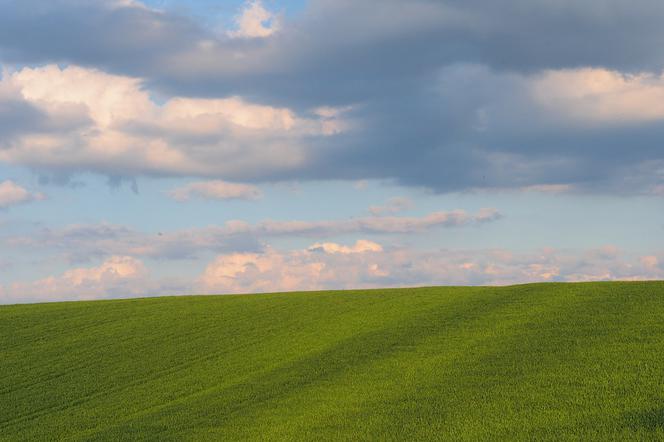 Jaka pogoda w piątek? Nasze samopoczucie będzie lepsze!