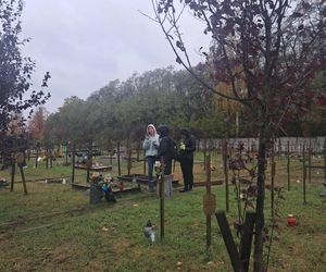 Rekordowa akcja Światełko Pamięci. Uczniowie z Łodzi porządkowali opuszczone groby