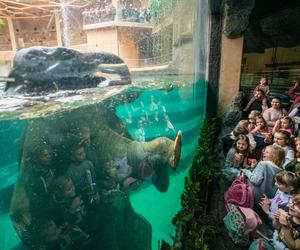 Pomysły na Dzień Babci i Dziadka w Łodzi. Jak spędzić ten dzień? Orientarium zaprasza!