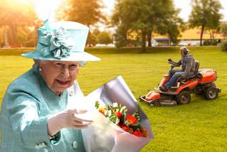 Królowa brytyjska szuka ogrodnika! Zobacz, ile można zarobić