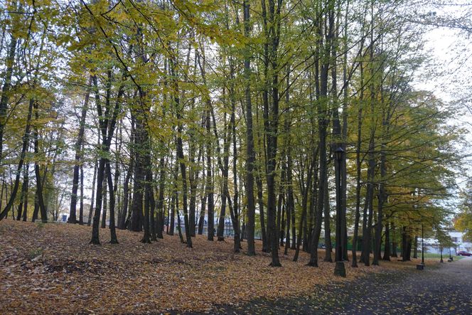 Park Lubomirskich w Białymstoku jesienią 