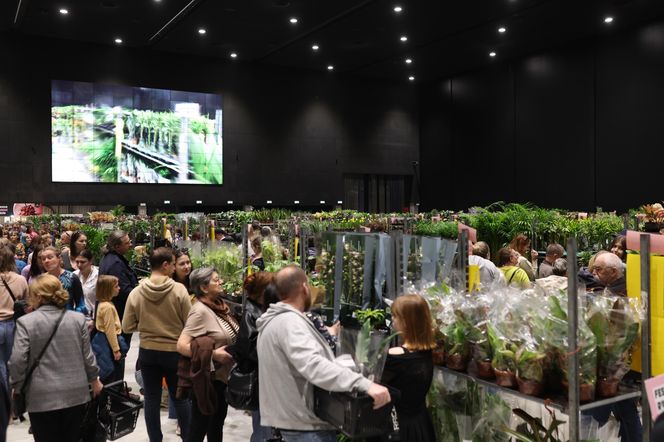 Festiwal Roślin w Katowicach przyciągnął tłumy miłośników zieleni. MCK przepełnione roślinnością