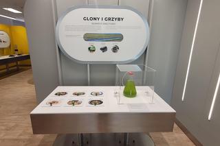 Wielkie otwarcie Centrum Nauki „Kortosfera”. „Jesteśmy dla wszystkich” [ZDJĘCIA]