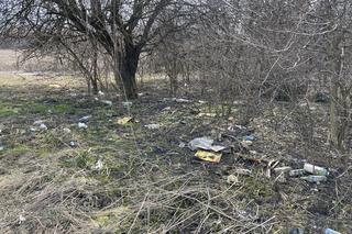 Północ Krakowa TONIE w śmieciach. Dzikie wysypisko, a obok las i... kościół