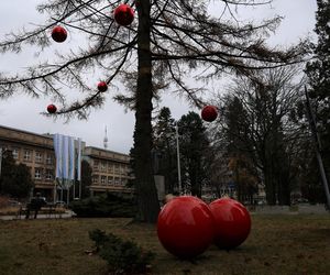 Świąteczna atmosfera zapanowała na UMCS-ie w Lublinie