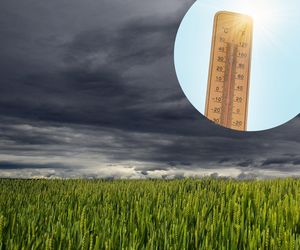 Pogoda dla Torunia. Kiedy wrócą upały? Ta data jest najważniejsza