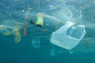 Ocean jest pełen plastiku. Wyniki badań są zatrważające