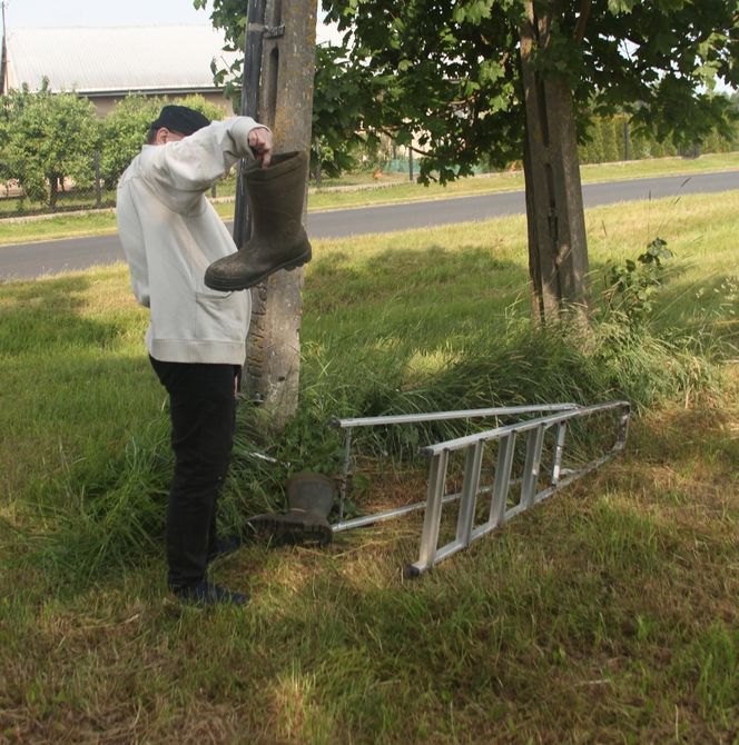 Ratował boćka na słupie, spadł z drabiny