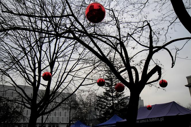 Na placu przed rektoratem UMCS w Lublinie zagościły wielkie czerwone bombki!