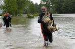 Powódź - ewakuacja zwierząt 