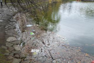Stawy we wrocławskich parkach pełne śmieci