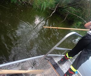Tragiczny finał poszukiwań w woj. lubelskim
