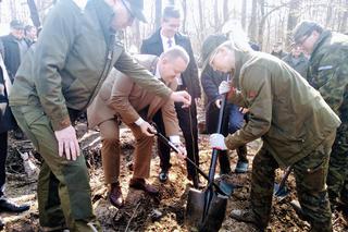 Katowice: Leśnicy sadzą na Muchowcu nowe drzewa [ZDJĘCIA, AUDIO]