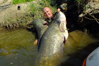 Pół dnia walczyli z sumem