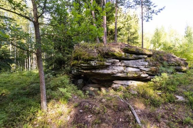 Rezerwat Dalejów w Świętokrzyskiem
