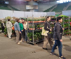 Bydgoszcz rozkwitła zielenią w Łuczniczce. Tak było na Festiwalu Roślin