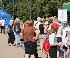 Dożynki miejskie i Święto Chleba w Poznaniu