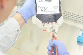 Warszawskie laboratorium PBKM przeznaczone do preparowania krwi pępowinowej stawia na innowacyjne projekty badawcze