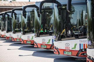 Po radomskich ulicach już kursują elektryczne autobusy! Będą obsługiwały dwie linie [ZDJĘCIA]