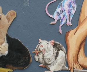 Stado szczurów i naga flecistka we Wrocławiu. Kolorowe gryzonie na wielkim muralu 