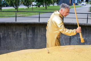 Nieczynny wybieg dla niedźwiedzi pomalowany na złoto