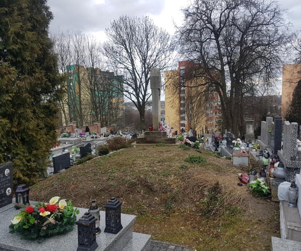Domniemany kurhan na cmentarzu przy ul. Kleeberga w Lublinie