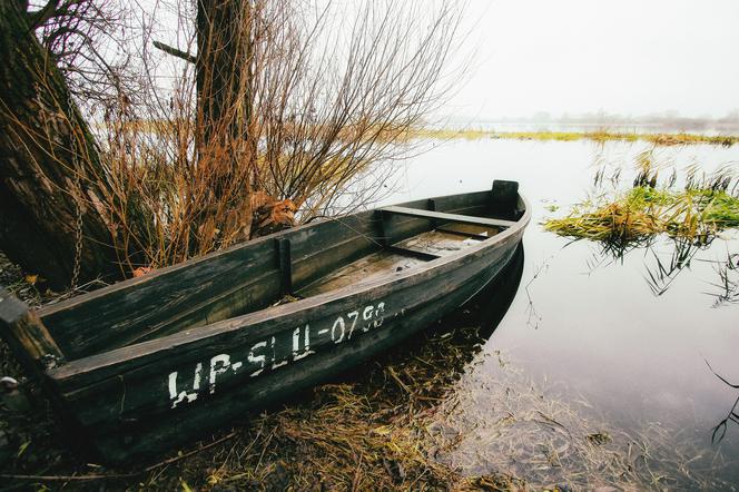 Ciało mężczyzny w Wiśle pod Płockiem! Zauważyli je wędkarze