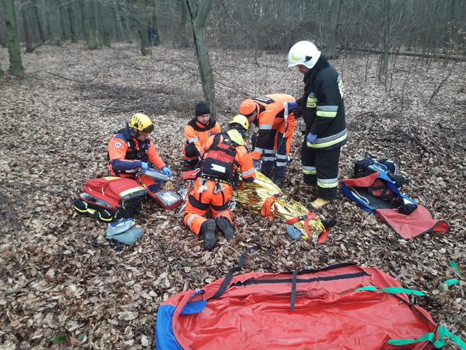 Mężczyzna przygnieciony przez drzewo