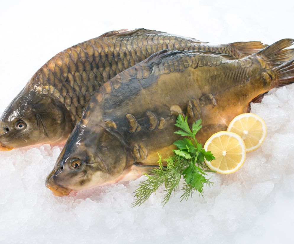 Jaki karp najlepszy do smażenia? [WAGA, Z ŁUSKĄ CZY BEZ]