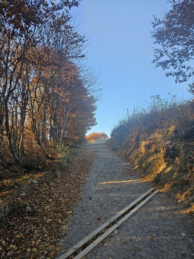 Bieszczady na jesień 