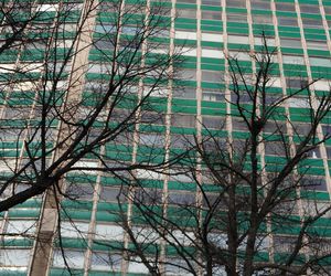 Zieleniak w Gdańsku