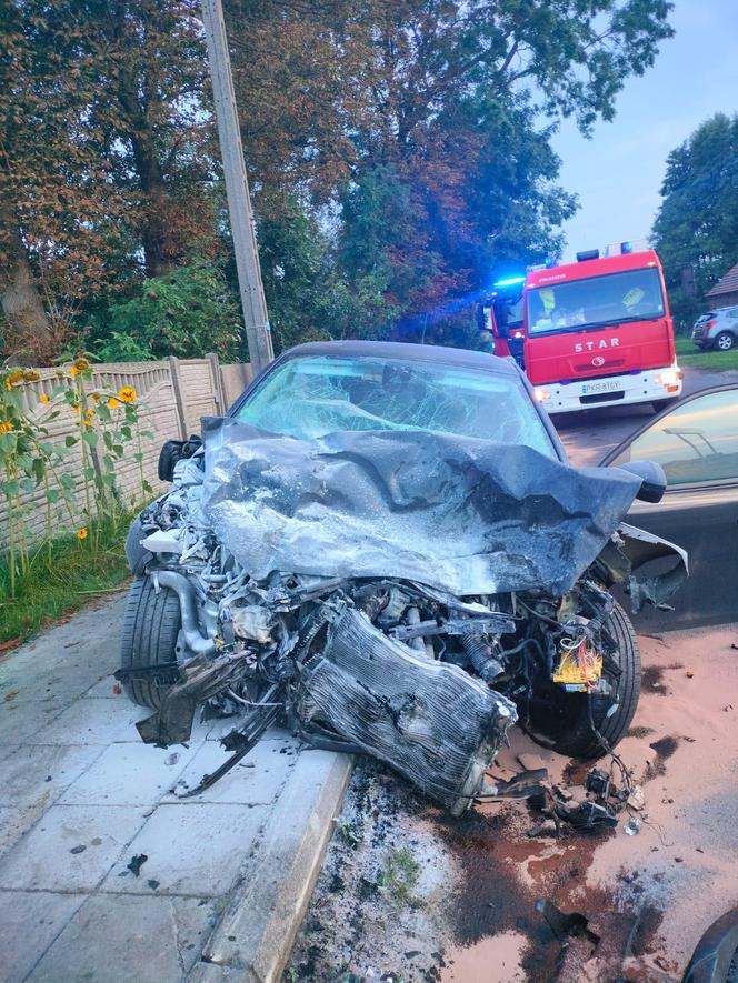 Śmiertelny wypadek pod Krotoszynem. Peugeot 31-latki i 80-latki stanął w płomieniach [ZDJĘCIA].