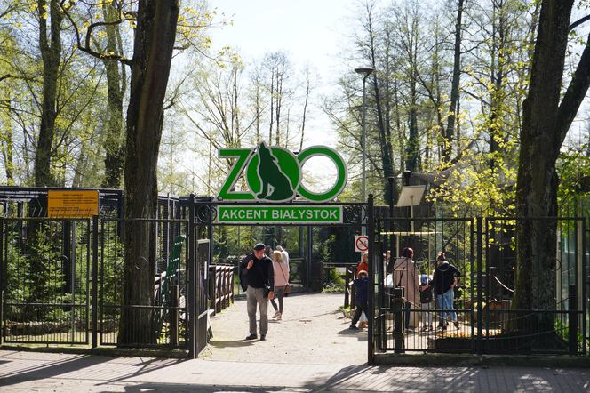 10 miejsc, które warto odwiedzić w Białymstoku podczas wakacji