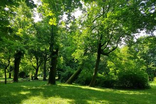 Park Miejski w Zamościu