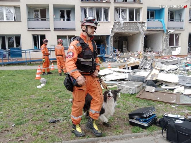 Prokuratura ujawnia ustalenia w sprawie wybuchu w Tychach. Badają dwie wersje 