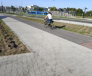 Kraków. Nasadzenia w ramach budowy KST do Górki Narodowej. Mieszkańcy krytykują: „ozdobne krzewy proszę sobie posadzić w ogródku albo na balkonie”