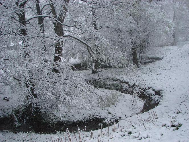 Chełmsko Śląskie - śnieg w maju