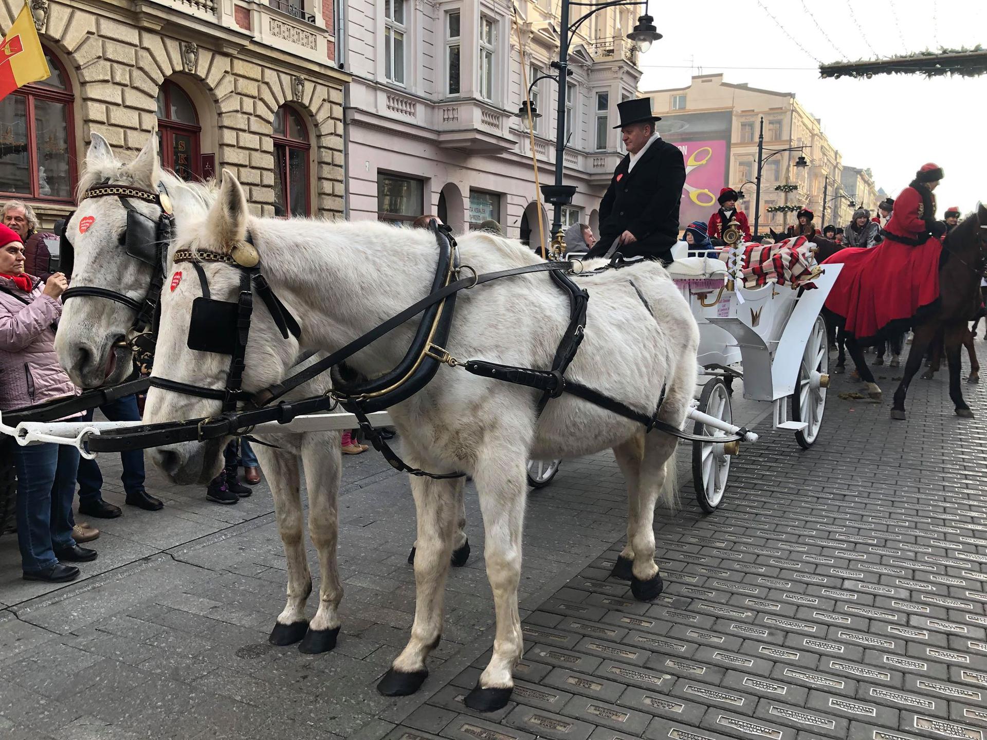 Pędzą Konie Po Betonie W Szarej Mgle WOŚP 2020 w Łodzi: Pędziły konie po betonie! Za nami Wielka Szarża na