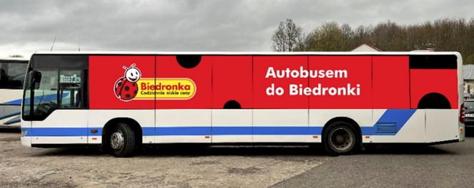Biedronka na fali