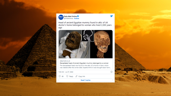 Głowa mumii znaleziona na strychu