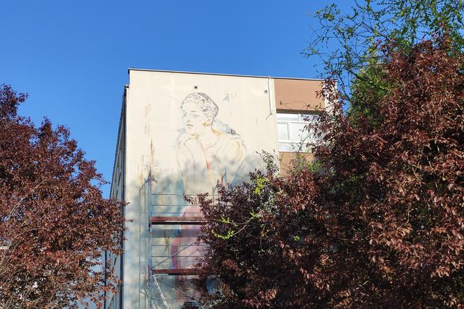Mural Pytia w Radomiu